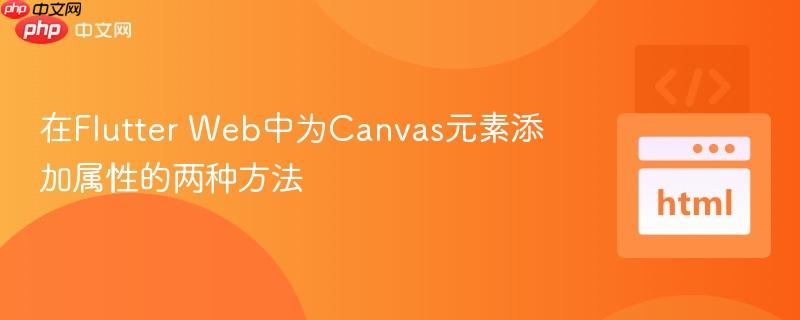 在Flutter Web中为Canvas元素添加属性的两种方法