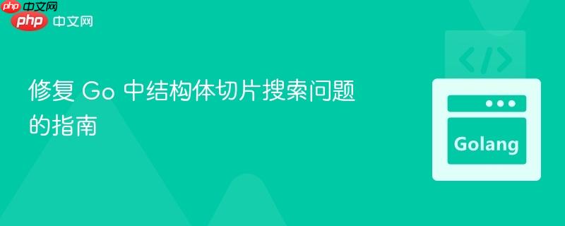 修复 Go 中结构体切片搜索问题的指南