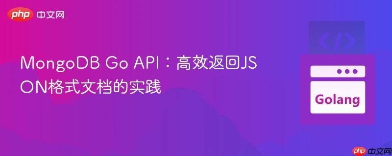 MongoDB Go API：高效返回JSON格式文档的实践