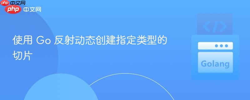 使用 Go 反射动态创建指定类型的切片