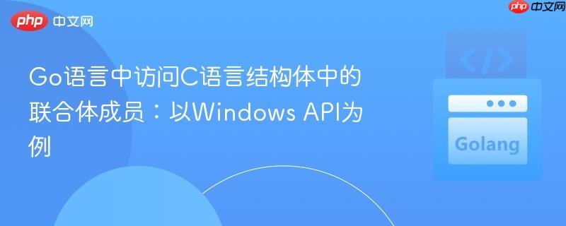 Go语言中访问C语言结构体中的联合体成员：以Windows API为例