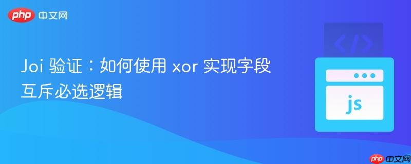 Joi 验证：如何使用 xor 实现字段互斥必选逻辑