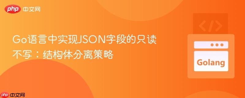 Go语言中实现JSON字段的只读不写：结构体分离策略
