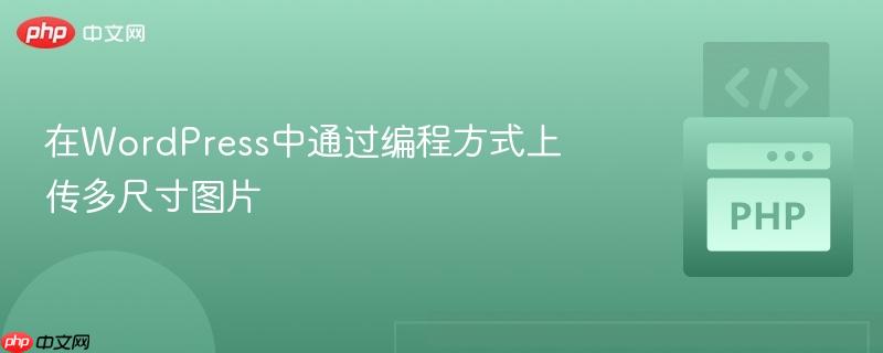 在WordPress中通过编程方式上传多尺寸图片