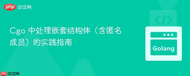Cgo 中处理嵌套结构体（含匿名成员）的实践指南