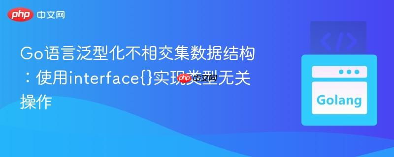 Go语言泛型化不相交集数据结构：使用interface{}实现类型无关操作