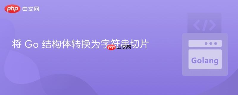 将 Go 结构体转换为字符串切片
