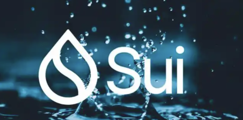 Sui(SUI)币怎么样？Move语言加持，Sui的优势、挑战与价格预测 - 创想鸟