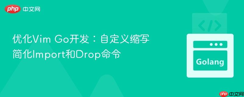 优化Vim Go开发：自定义缩写简化Import和Drop命令