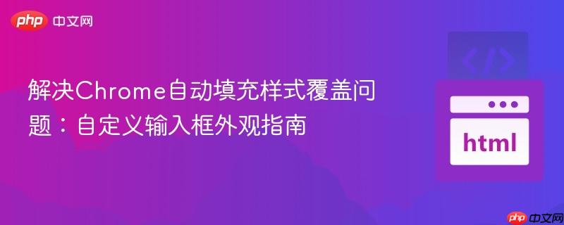 解决Chrome自动填充样式覆盖问题：自定义输入框外观指南
