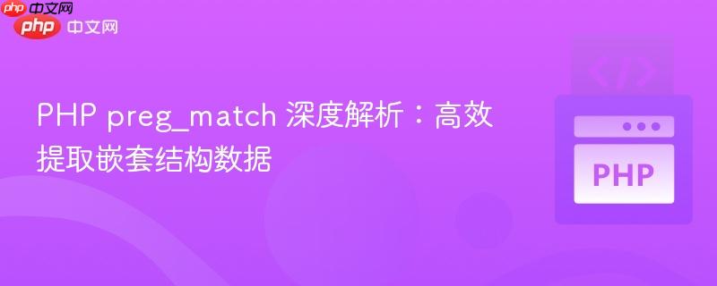 PHP preg_match 深度解析：高效提取嵌套结构数据