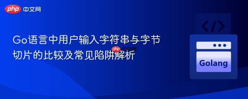 Go语言中用户输入字符串与字节切片的比较及常见陷阱解析