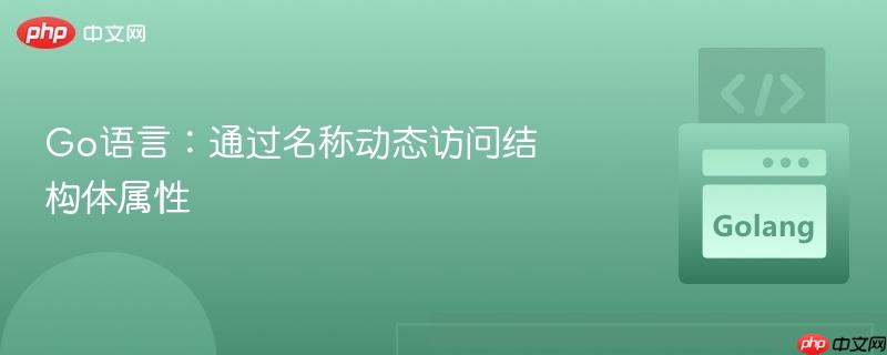 Go语言：通过名称动态访问结构体属性