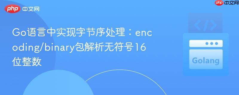 Go语言中实现字节序处理：encoding/binary包解析无符号16位整数