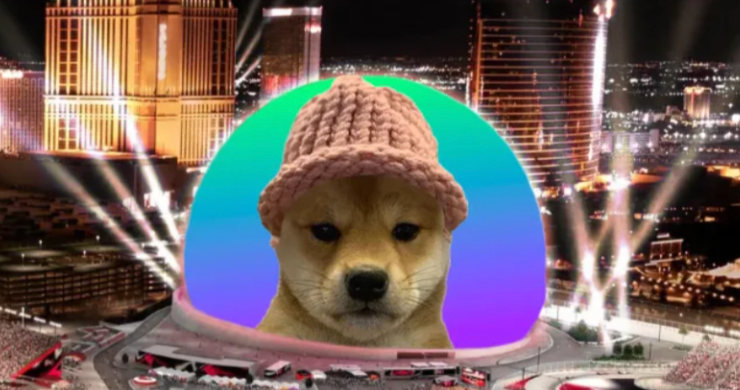 WIF(dogwifhat)是什么？这只戴帽子的狗为何能成为Solana上的Meme之王？ - 创想鸟