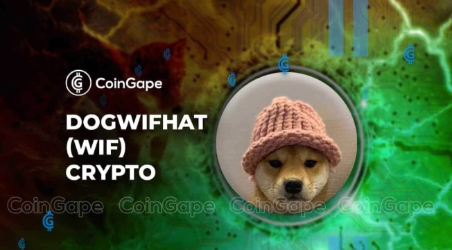 WIF(dogwifhat)是什么？这只戴帽子的狗为何能成为Solana上的Meme之王？ - 创想鸟
