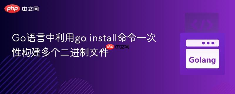Go语言中利用go install命令一次性构建多个二进制文件