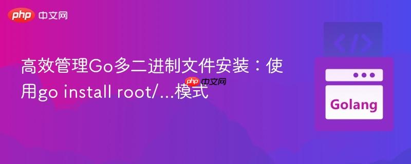 高效管理go多二进制文件安装：使用go install root/...模式