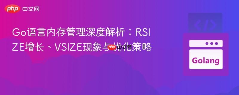 Go语言内存管理深度解析：RSIZE增长、VSIZE现象与优化策略