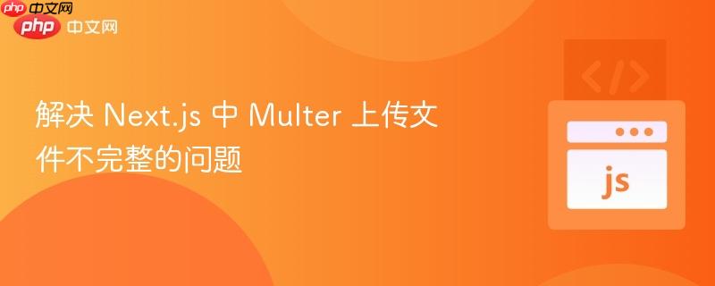 解决 Next.js 中 Multer 上传文件不完整的问题