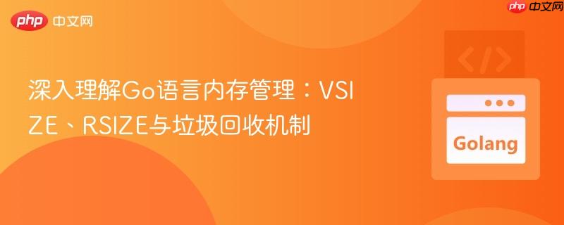 深入理解Go语言内存管理：VSIZE、RSIZE与垃圾回收机制