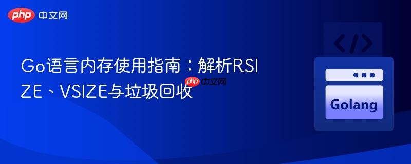 Go语言内存使用指南：解析RSIZE、VSIZE与垃圾回收