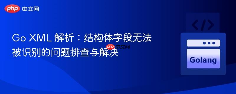 Go XML 解析：结构体字段无法被识别的问题排查与解决