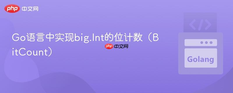 Go语言中实现big.Int的位计数（BitCount）