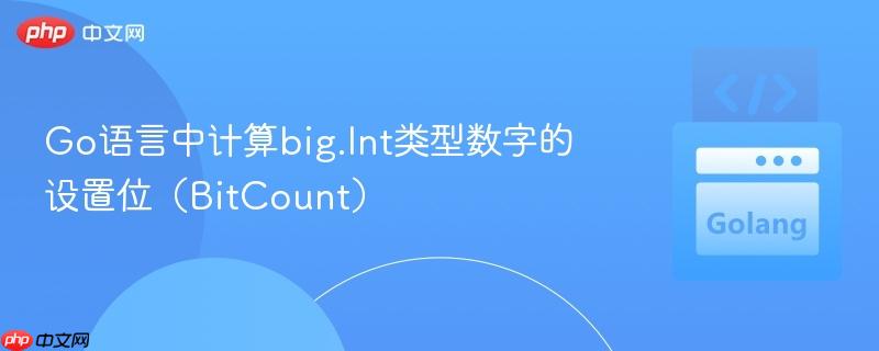 Go语言中计算big.Int类型数字的设置位（BitCount）