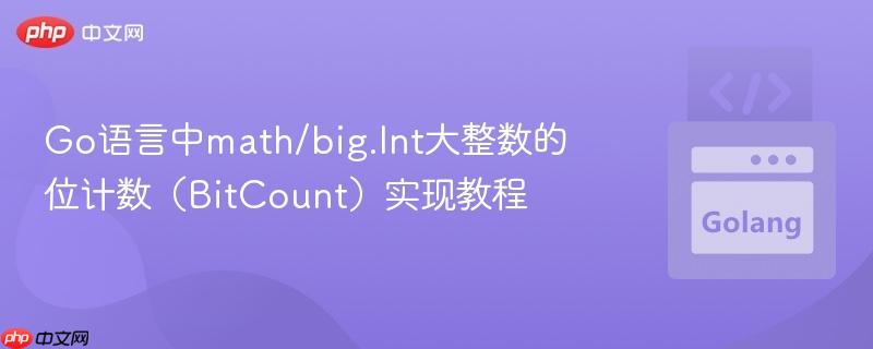 Go语言中math/big.Int大整数的位计数（BitCount）实现教程