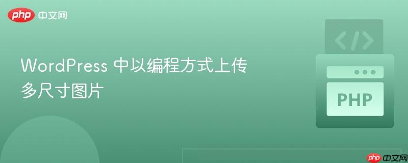 wordpress 中以编程方式上传多尺寸图片
