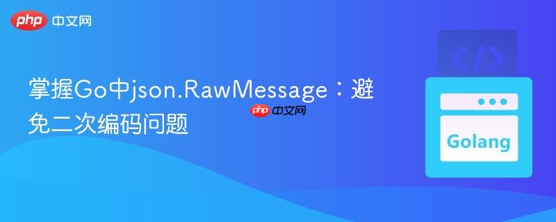 掌握Go中json.RawMessage：避免二次编码问题