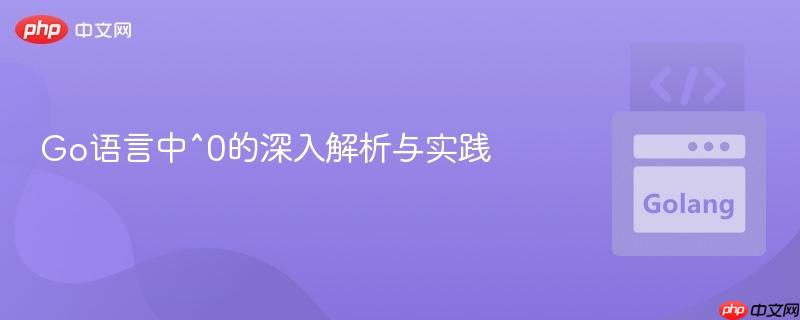 Go语言中^0的深入解析与实践