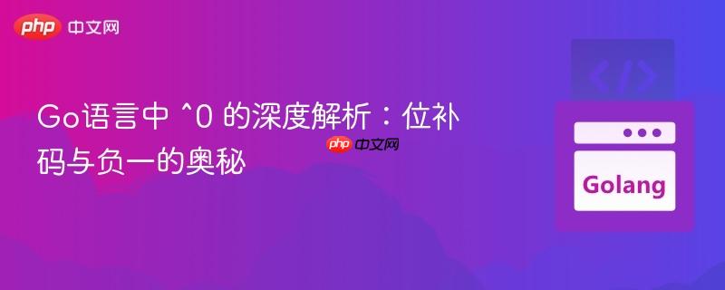 Go语言中 ^0 的深度解析：位补码与负一的奥秘