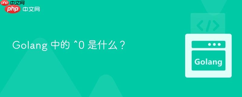 Golang 中的 ^0 是什么？