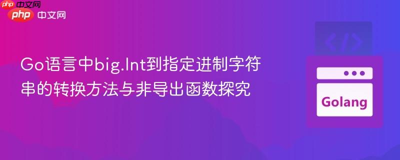 Go语言中big.Int到指定进制字符串的转换方法与非导出函数探究