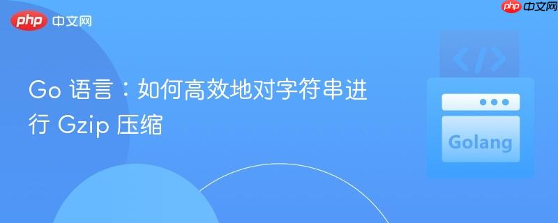 Go 语言：如何高效地对字符串进行 Gzip 压缩