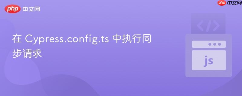 在 Cypress.config.ts 中执行同步请求