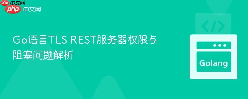 Go语言TLS REST服务器权限与阻塞问题解析