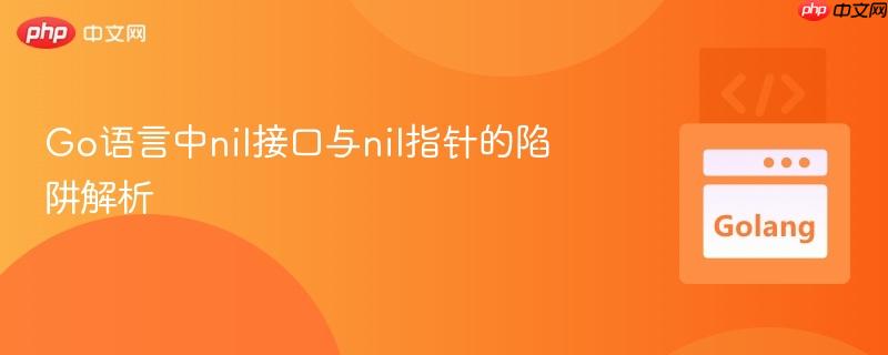Go语言中nil接口与nil指针的陷阱解析