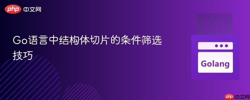 Go语言中结构体切片的条件筛选技巧