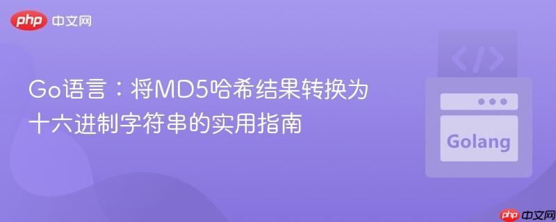 Go语言：将MD5哈希结果转换为十六进制字符串的实用指南