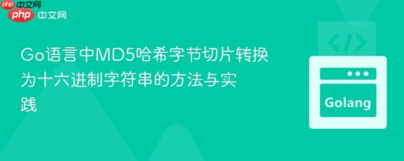 Go语言中MD5哈希字节切片转换为十六进制字符串的方法与实践