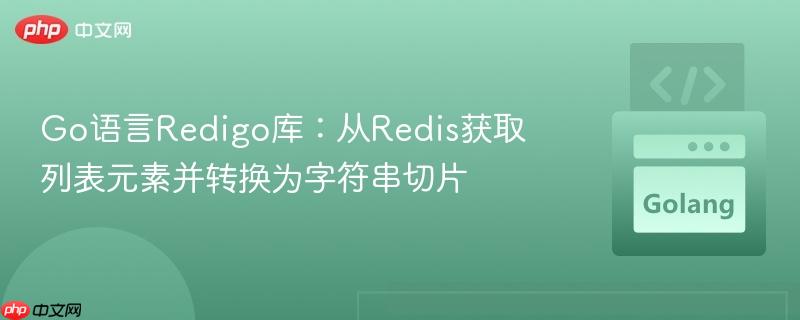 Go语言Redigo库：从Redis获取列表元素并转换为字符串切片