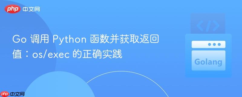 Go 调用 Python 函数并获取返回值：os/exec 的正确实践