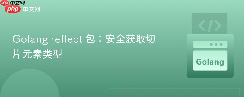 Golang reflect 包：安全获取切片元素类型