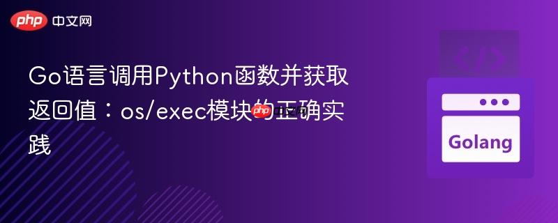 Go语言调用Python函数并获取返回值：os/exec模块的正确实践