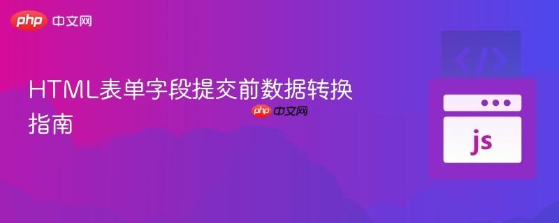 HTML表单字段提交前数据转换指南
