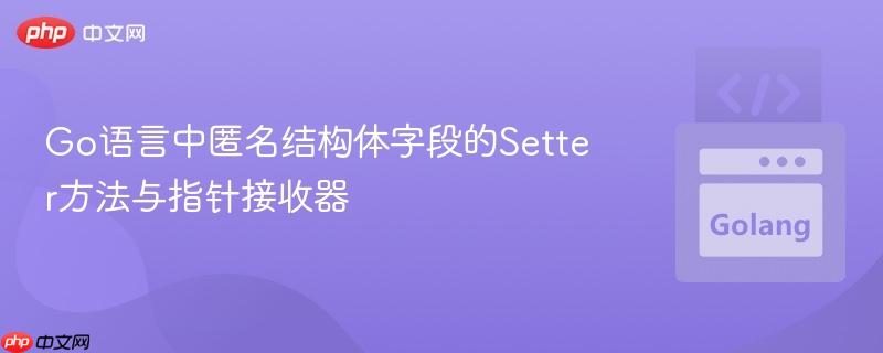 Go语言中匿名结构体字段的Setter方法与指针接收器