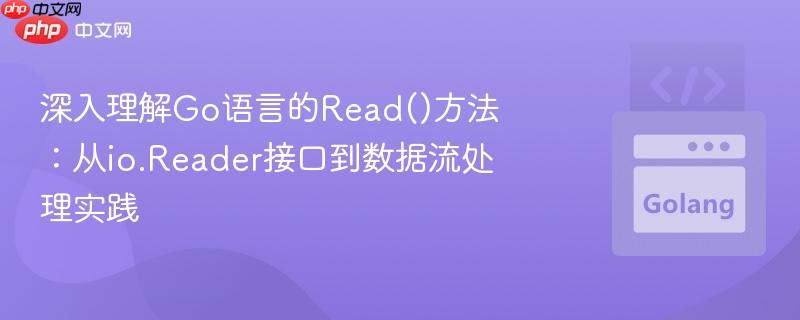 深入理解Go语言的Read()方法：从io.Reader接口到数据流处理实践